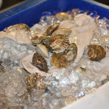 Hurricane Harry's Island Vibes - Fresh oysters and clams! - Seafood Near Me - Freeport, New York
