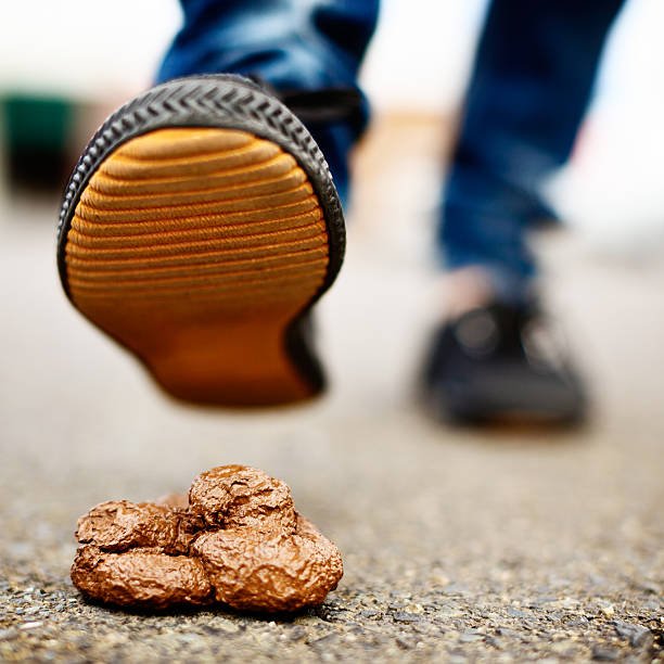 HERTZ RENT A CAR Updated September 2024 14 Reviews 2010