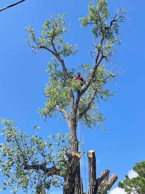Bayseas Catfish House by null