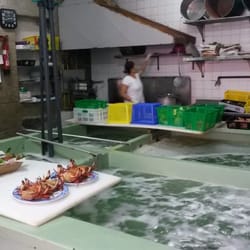 A Centoleira