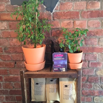 Mouse Tail Coffee Stories - Coffee & Tea Near Me - London, XGL