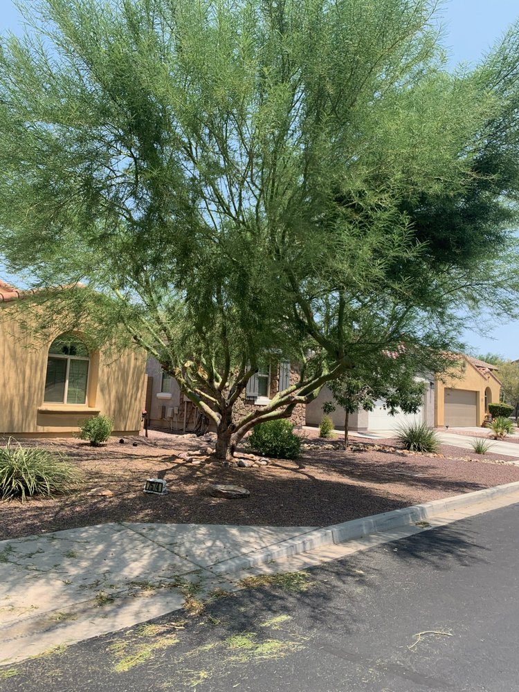 Twilight Tree and Landscape - tree service in Glendale, AZ