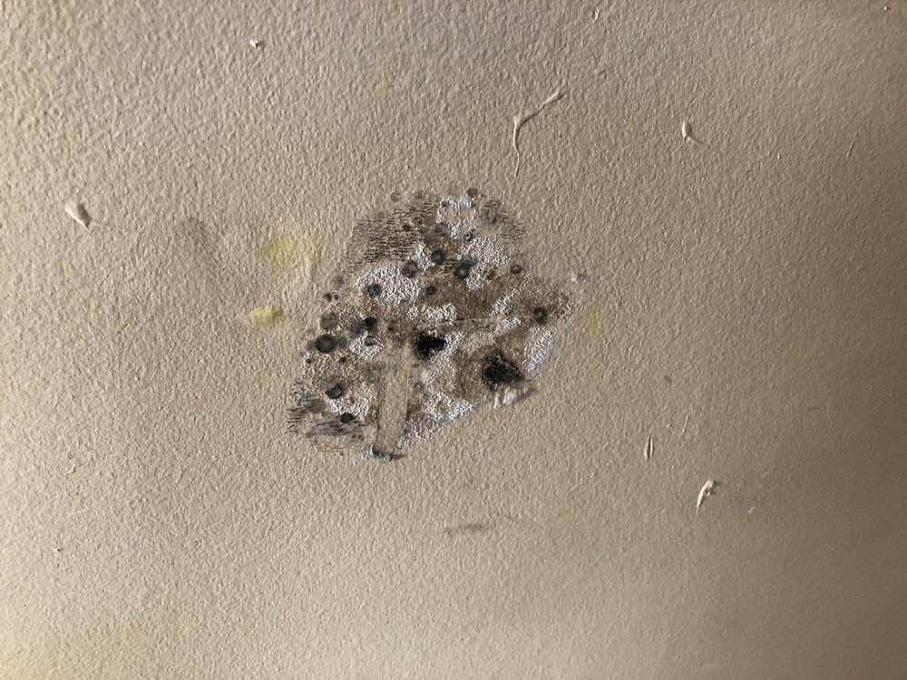 Powers Environmental - mold inspector in Paramus, NJ