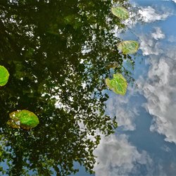 Botanische Tuinen