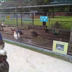 Morgan City Petting Zoo