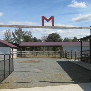 M&M Alpaca Farm - Attraction Farms Near Me - Pittsboro, North Carolina M&M Alpaca Farm - Attraction Farms Near Me - Pittsboro, North Carolina