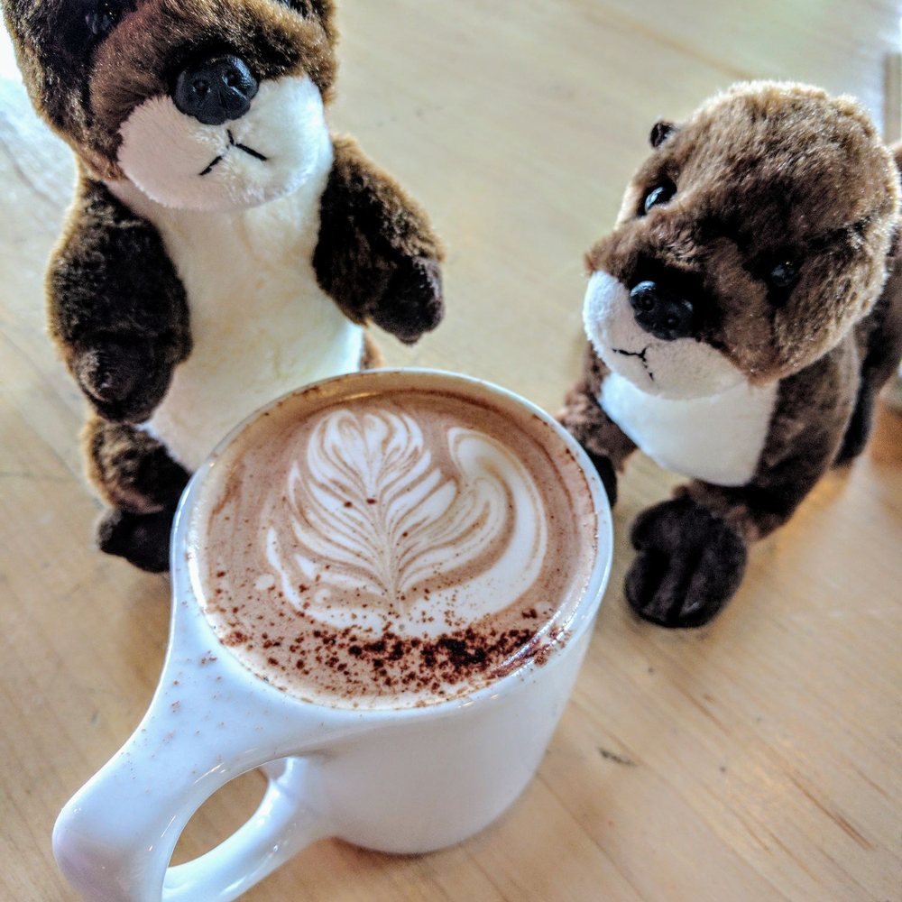 High Five Coffee - Coffee & Tea Near Me - Asheville, North Carolina