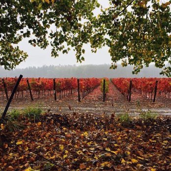 Viña Lapostolle - Fall 2017 - Wineries Near Me - Santa Cruz, LI