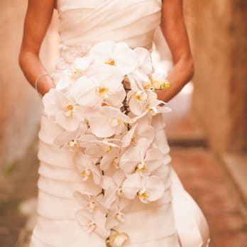 Floral Occasions - Bridal bouquet of phalenopsis orchids. - Florists Near Me Floral Occasions - Bridal bouquet of phalenopsis orchids. - Florists Near Me