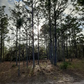 Bell Creek Nature Preserve - Hiking Near Me - Riverview, Florida