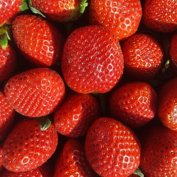 Thacker Berry Farms - Crop of the day! Thacker Berry Farms Open 7 Days a week from 9am to 5pm! Visit www.ThackerBerryFarms.com for a location near you! - Fruits & Veggies Near Me - Palos Verdes, California Thacker Berry Farms - Crop of the day! Thacker Berry Farms Open 7 Days a week from 9am to 5pm! Visit www.ThackerBerryFarms.com for a location near you! - Fruits & Veggies Near Me - Palos Verdes, California