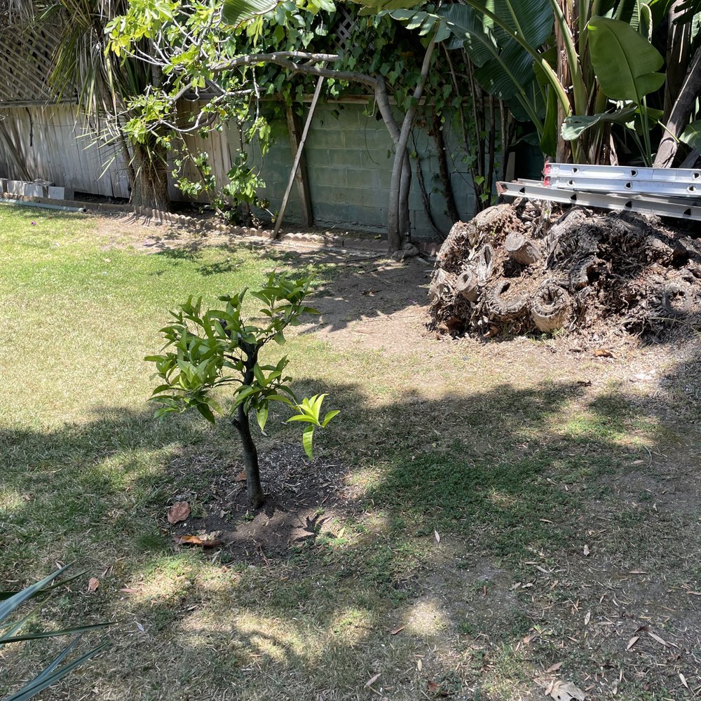 Dreamscapes Landscaping - BEFORE - Landscaping Near Me Dreamscapes Landscaping - BEFORE - Landscaping Near Me