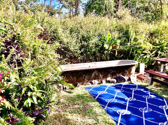 Puna Rainforest Retreat: Hot springs and steam vents by null