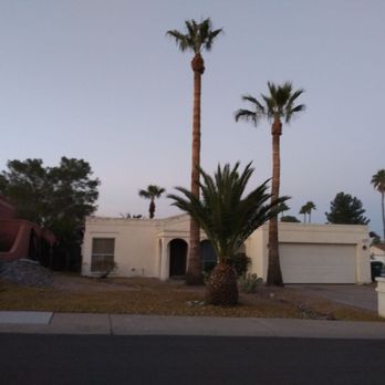 AMA Landscaping - Palm trees trimmed as well - Landscaping Near Me