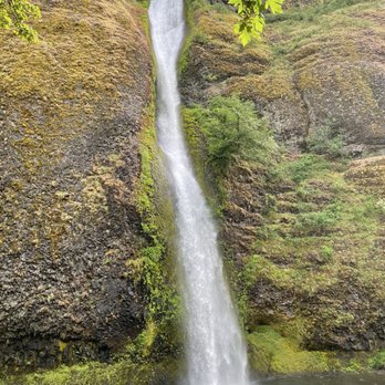 Ponytail Falls - Ponytail falls - Hiking Near Me - Cascade Locks, Oregon Ponytail Falls - Ponytail falls - Hiking Near Me - Cascade Locks, Oregon