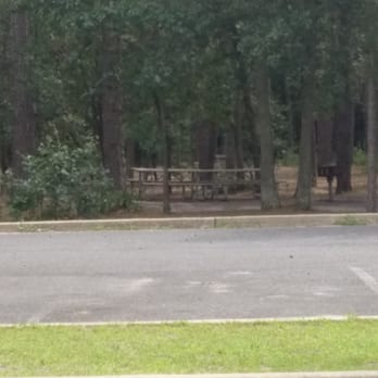 Wharton State Forest - Picnic tables across from the park. - Hiking Near Me - Hammonton, New Jersey
