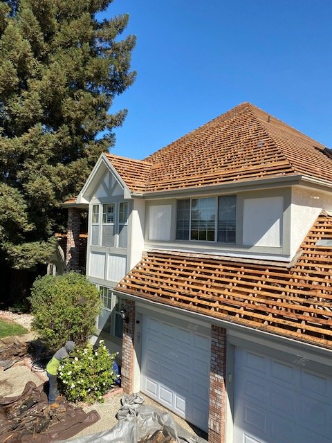 Slide of Chingon's Tear Off 