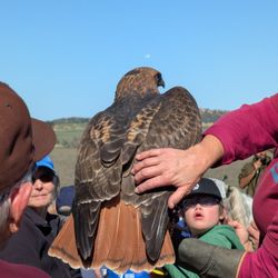 Wildlife Research Institute