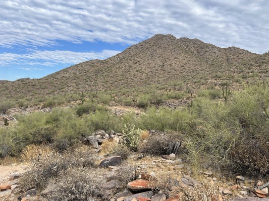 Gateway Trailhead - McDowell Sonoran Preserve by null