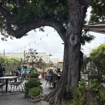 Gjusta - Patio - Bakeries Near Me - Venice, California