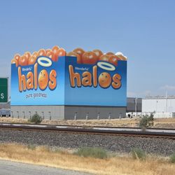 City of Delano - Halos  07-03-2025