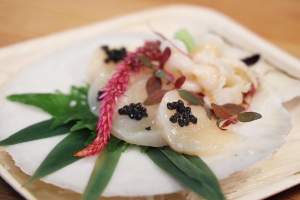 Prime Fish Sushi Charlotte by null
