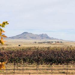 Wilhelm Family Vineyards - View from behind tasting room
