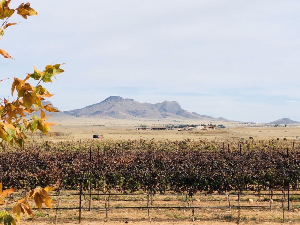 WILHELM FAMILY VINEYARDS 83 Photos & 58 Reviews 21 Mountain Ranch