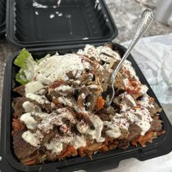 Gyro Plate