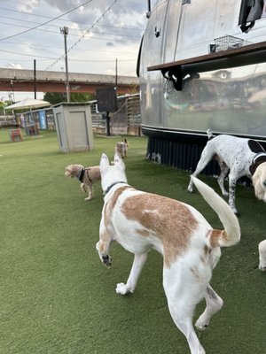 Fetch Park O4W by null