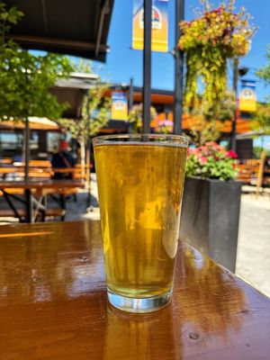 Arvada Beer Garden by null