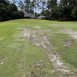 Covington Country Club - One of the greens in question