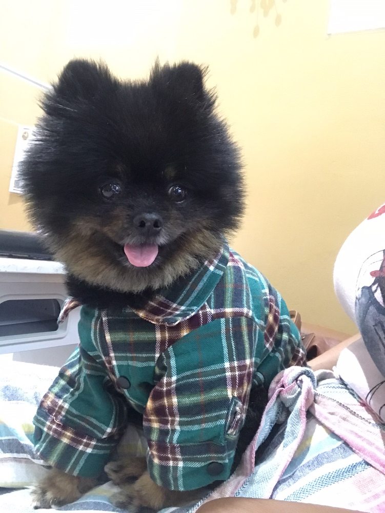 ANGEL NAILS AND SPA Updated May 2024 13 Reviews 1948 Bruce B