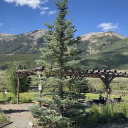 Crested Butte RV Resort