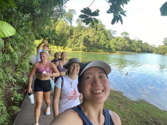 MacRitchie Reservoir by null