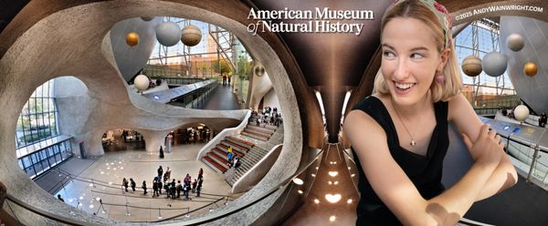 American Museum of Natural History by null