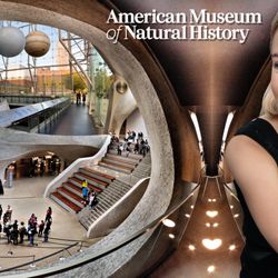 user provided American Museum of Natural History photo