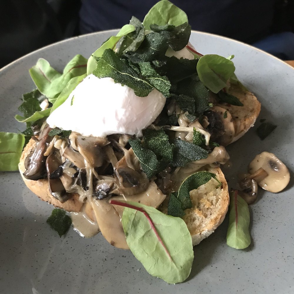 Dignita - Forest dweller - Breakfast & Brunch Near Me - Amsterdam, New Hampshire Dignita - Forest dweller - Breakfast & Brunch Near Me - Amsterdam, New Hampshire