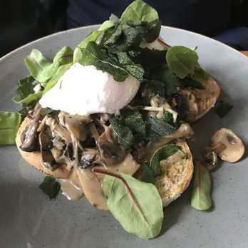 Dignita - Forest dweller - Breakfast & Brunch Near Me - Amsterdam, New Hampshire Dignita - Forest dweller - Breakfast & Brunch Near Me - Amsterdam, New Hampshire
