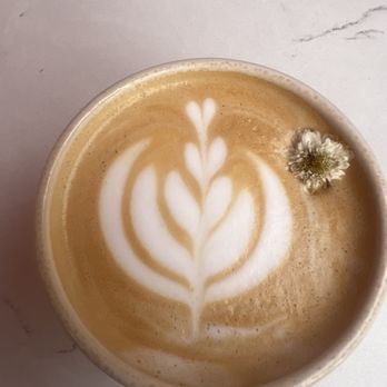 Wildflour - My fabulous vanilla latte beautifully made - Delis Near Me - San Diego, California Wildflour - My fabulous vanilla latte beautifully made - Delis Near Me - San Diego, California