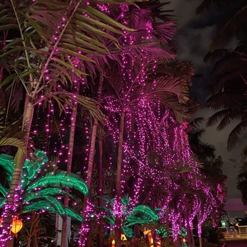 Jungle Island - The walkways were so beautiful - Amusement Parks Near Me - Miami, Florida Jungle Island - The walkways were so beautiful - Amusement Parks Near Me - Miami, Florida