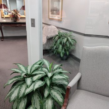 Plant Peddler - Indoor Landscaping Near Me - Smyrna, Georgia Plant Peddler - Indoor Landscaping Near Me - Smyrna, Georgia