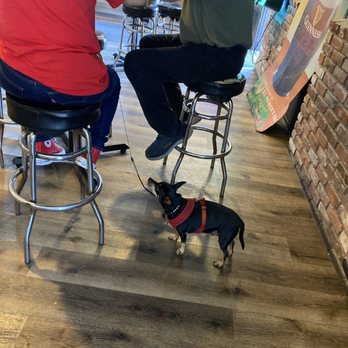 Bloom's Irish Pub - Pet friendly places - Irish Pub Near Me - San Clemente, California Bloom's Irish Pub - Pet friendly places - Irish Pub Near Me - San Clemente, California