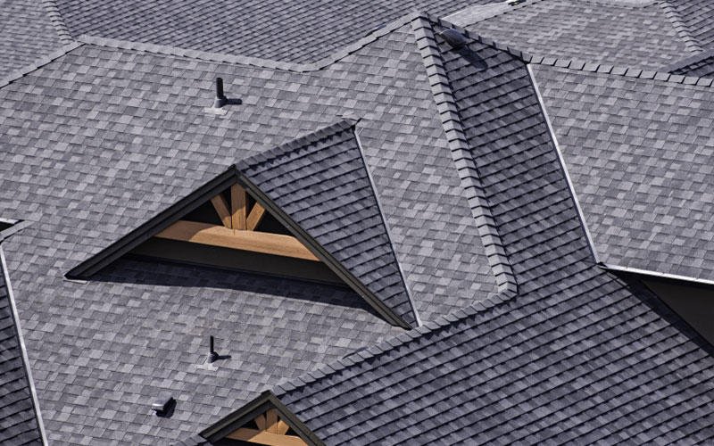 Slide of Dynasty Building Solutions