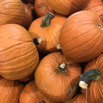 Trader Joe's - Pumpkins - Grocery Near Me - Dallas, Texas Trader Joe's - Pumpkins - Grocery Near Me - Dallas, Texas