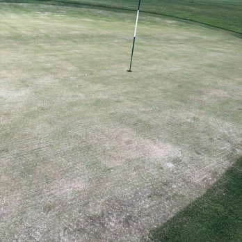 Pebble Beach Golf Links - Worth $620 round right? Management claimed this was great condition and didn't impact play - Golf Near Me - Pebble Beach, California Pebble Beach Golf Links - Worth $620 round right? Management claimed this was great condition and didn't impact play - Golf Near Me - Pebble Beach, California