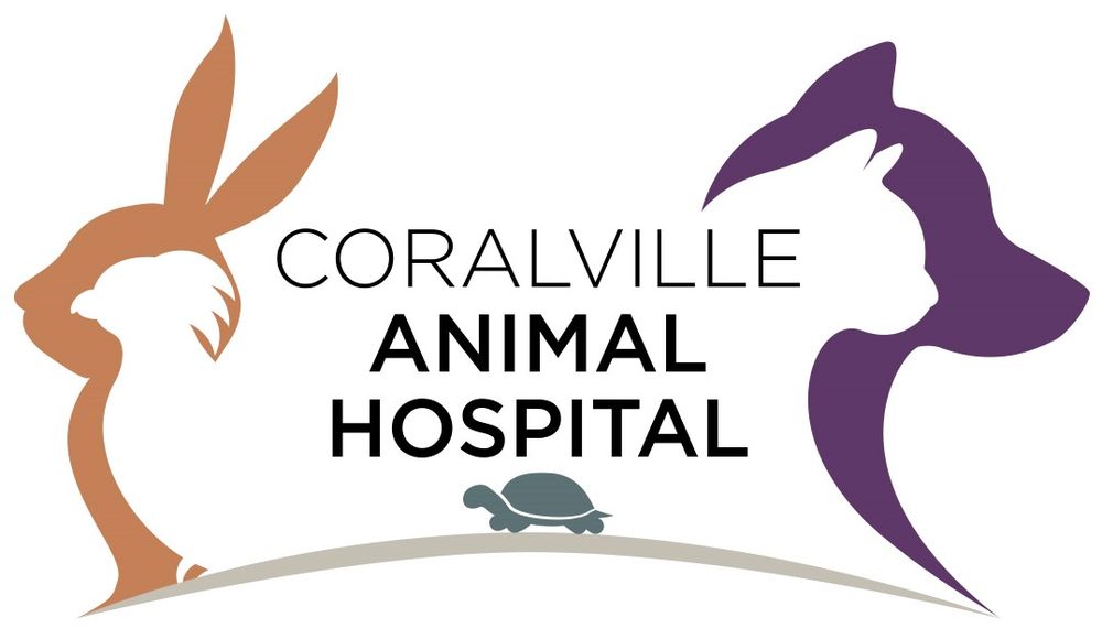 Coralville Animal Hospital Image