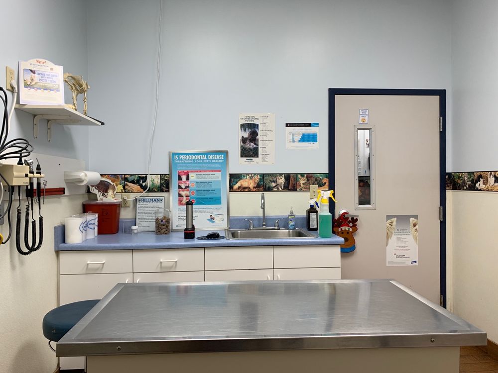 Open for Business HILLMAN VETERINARY CLINIC 20 Photos & 45 Reviews