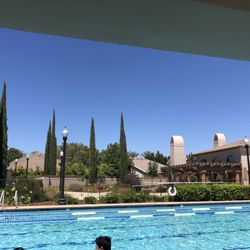 Swim time for guests!
