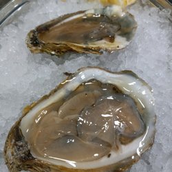 Brackley Bay - Oysters fresh out the bay